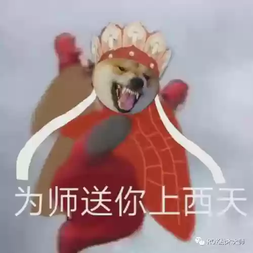 李舜臣搭配什么阵容万国觉醒插图1