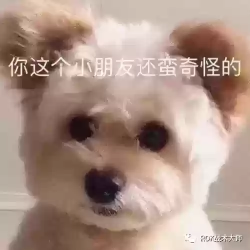 李舜臣搭配什么阵容万国觉醒插图4