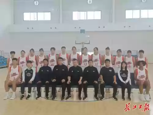 白鹤怎么搭配阵容插图