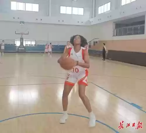 白鹤怎么搭配阵容插图1