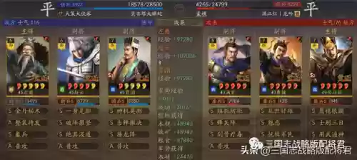 潜龙赵云阵容搭配插图5