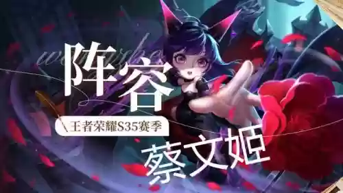 王者荣耀蔡文姬搭配阵容(典韦和蔡文姬什么关系)插图12