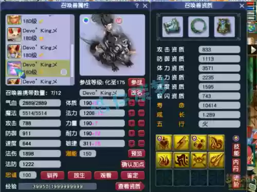 175服战阵容搭配(175法系带什么套装最好)插图14