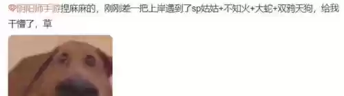 鬼切阵容搭配贫民(鬼切配什么阵容过副本)插图4