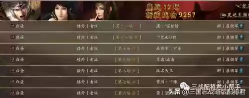 马超铁骑阵容怎么搭配(三国志战略版马超8个最强阵容)插图3