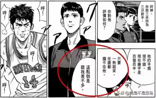 三井阵容搭配大全(三排什么阵容最好)插图4
