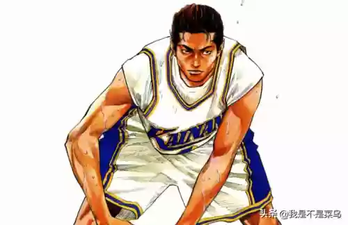 三井阵容搭配大全(三排什么阵容最好)插图6