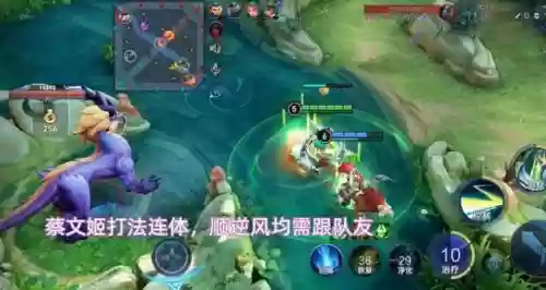 王者荣耀蔡文姬搭配阵容(典韦和蔡文姬什么关系)插图11