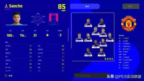 林皇守门阵容怎么搭配(守护之境最强阵容怎么搭配)插图6
