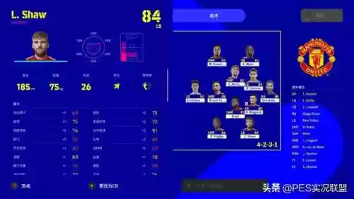 林皇守门阵容怎么搭配(守护之境最强阵容怎么搭配)插图10