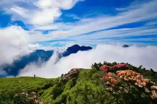 琉璃三塔阵容搭配(琉璃传送阵)插图2