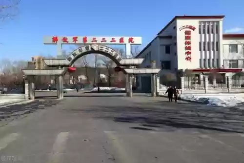 前线作战团队阵容搭配攻略(交错战线最强阵容推荐)插图6