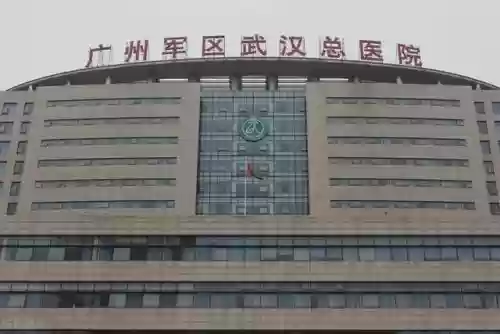 前线作战团队阵容搭配攻略(交错战线最强阵容推荐)插图4