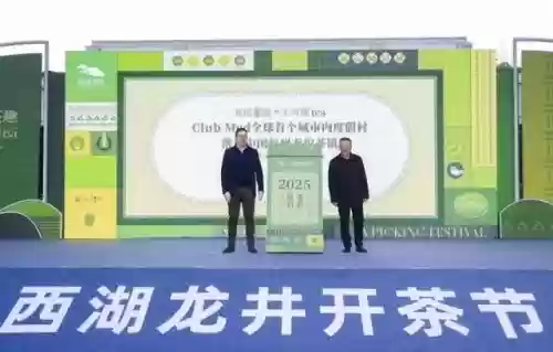 开间小店灵夕阵容搭配(开一家小店)插图11