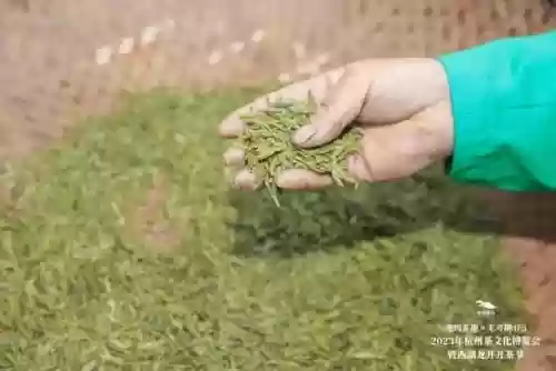 开间小店灵夕阵容搭配(开一家小店)插图14