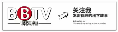 福音吸血鬼阵容搭配(命运骑士团最强阵容)插图10