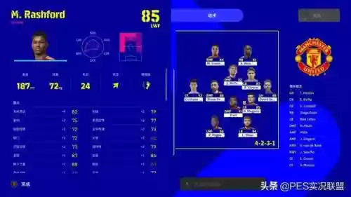 林皇守门阵容怎么搭配(守护之境最强阵容怎么搭配)插图8