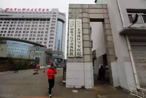 前线作战团队阵容搭配攻略(交错战线最强阵容推荐)插图2
