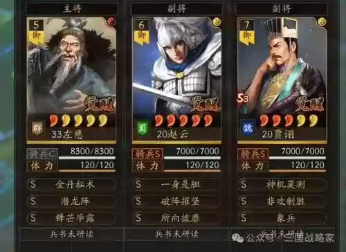 老虎搭配的阵容是什么(虎阵被什么阵法克制)插图6