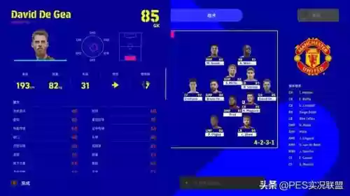 林皇守门阵容怎么搭配(守护之境最强阵容怎么搭配)插图5