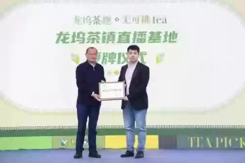 开间小店灵夕阵容搭配(开一家小店)插图5