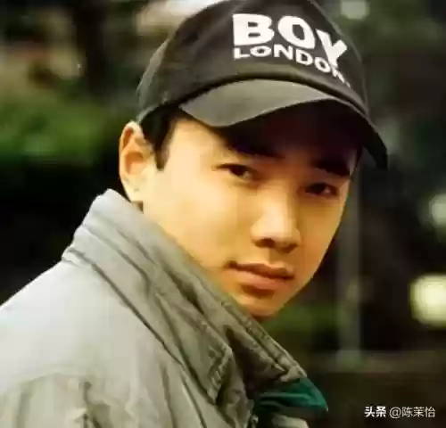 全明星阵容徐峥这回玩大了(三国全明星最厉害的英雄)插图2
