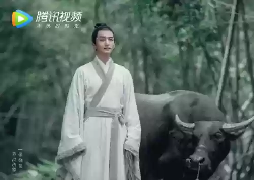 雪中悍刀行有哪些明星阵容(雪中悍刀行开拍了吗)插图13