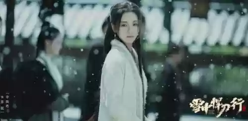 雪中悍刀行有哪些明星阵容(雪中悍刀行开拍了吗)插图4