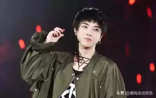 刘宪华演唱会嘉宾阵容名单(刘宪华近期行程)插图3
