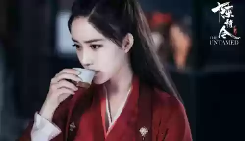 雪中悍刀行有哪些明星阵容(雪中悍刀行开拍了吗)插图26