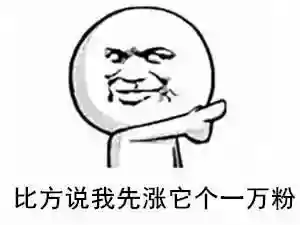 武装突袭3中国队阵容(武装突袭3各个势力)插图4