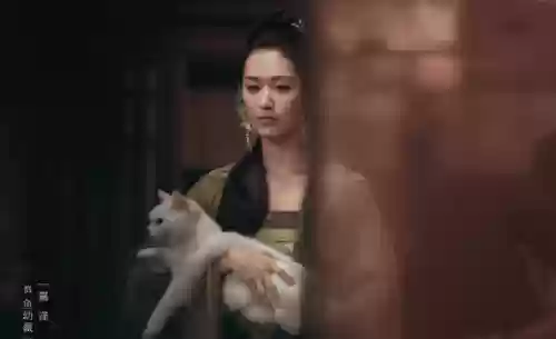 雪中悍刀行有哪些明星阵容(雪中悍刀行开拍了吗)插图22