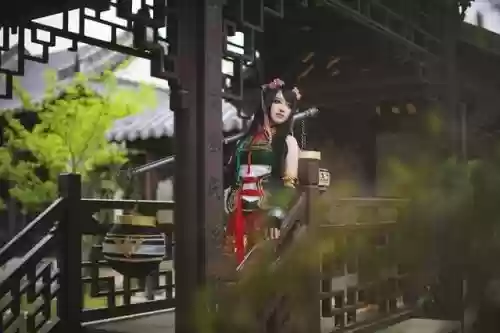真实的三国无双7大乔阵容(三国无双斩哪关适合刷)插图9