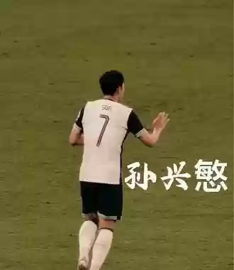 《一起向未来》全明星阵容(三国全明星阵容推荐)插图3