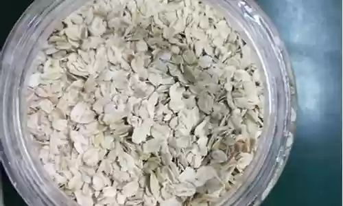 黑麦搭配阵容插图