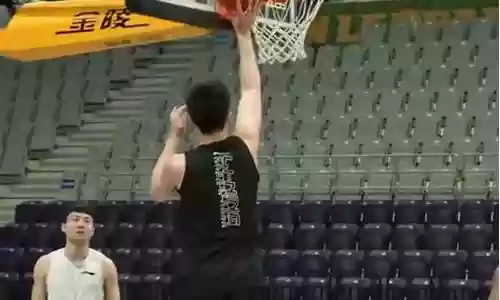 辽宁轮换阵容搭配最新插图