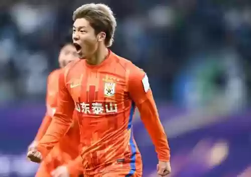 最强鲁能阵容(鲁能球员全部名单)插图2