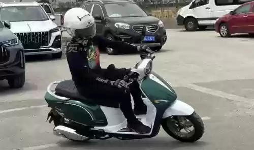 缩小骑阵容(骑战三国最强阵容)插图16
