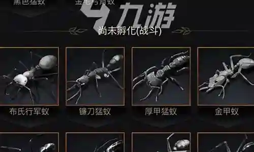 蚁王之战怎么玩阵容搭配插图