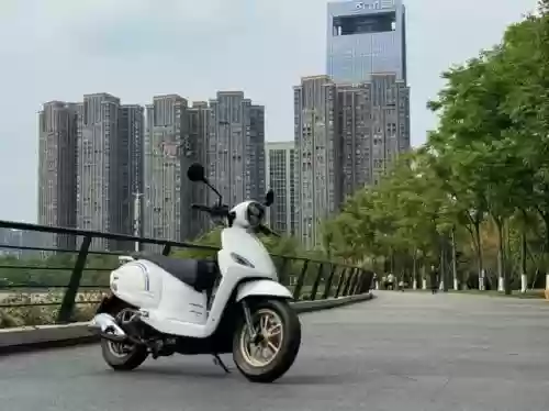 缩小骑阵容(骑战三国最强阵容)插图13