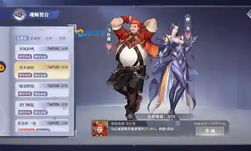 新区猫悬赏阵容最新搭配插图