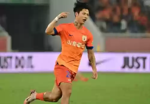 最强鲁能阵容(鲁能球员全部名单)插图12