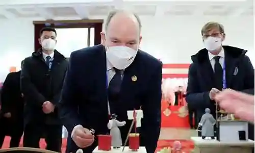 冬奥贵宾阵容搭配图片视频插图