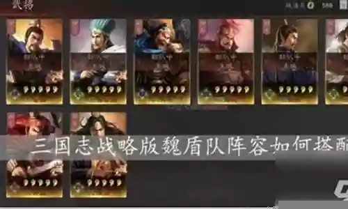 盾最强阵容插图