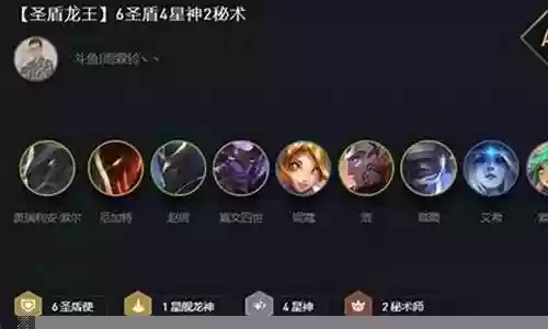 云顶圣盾龙王阵容插图
