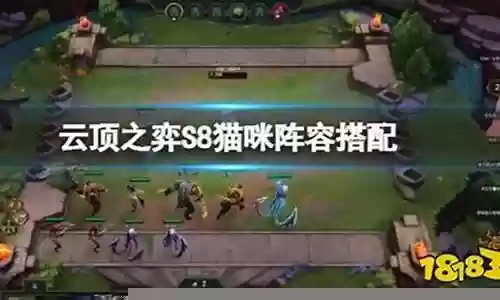 猫咪搭配什么射手阵容插图
