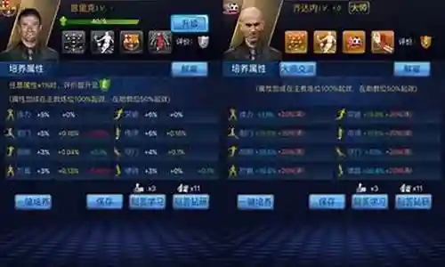 格斗私人教练阵容搭配攻略插图