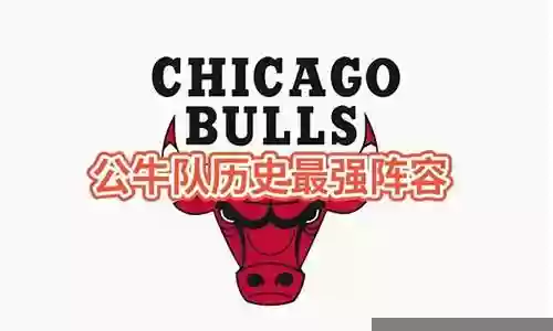 90公牛阵容插图