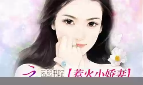 惹火小阵容插图