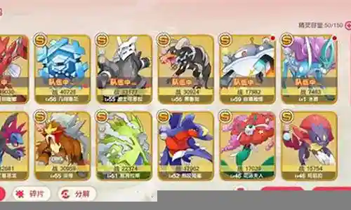 口袋觉醒精英精灵阵容搭配插图